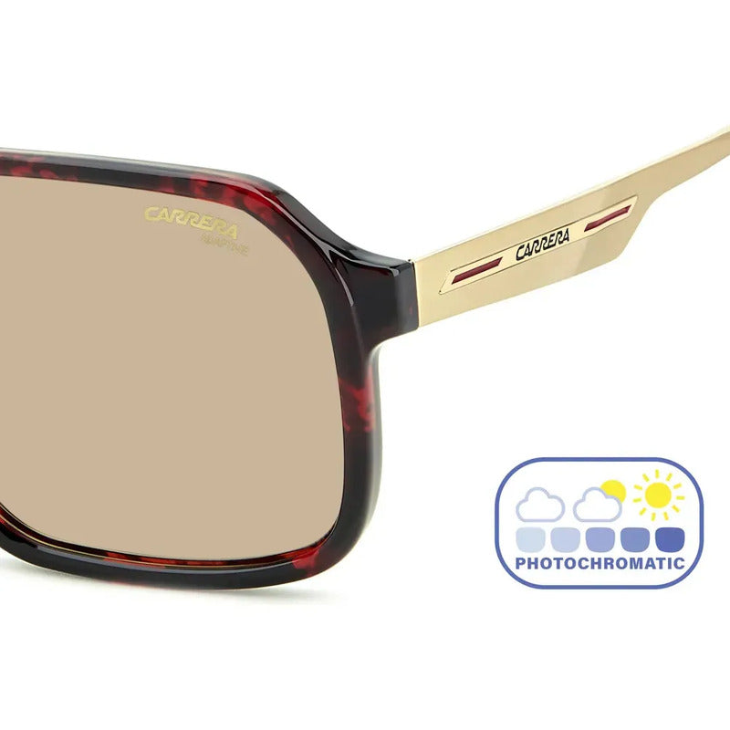 Gafas De Sol Para Hombre Carrera Victory 27s 0uc 59ii Gold Dorado Marrón Claro
